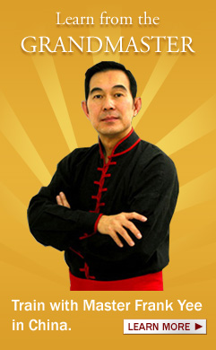 Learn from Grandmaster Frank Yee