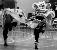 Yee's Hung Ga Lion Dance Team